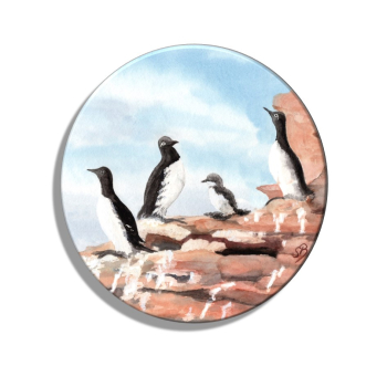 Kühlschrankmagnet m. Flaschenöffner  Aquarell Maritim Kunst Druck Kunstdruck Nordsee Insel Helgoland Trottellumme