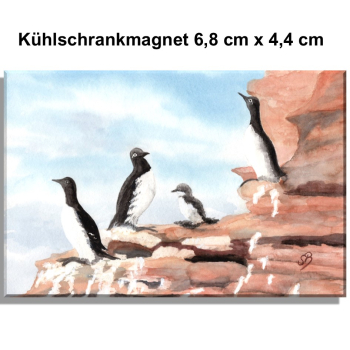 Kühlschrankmagnet  Aquarell Maritim Kunst Druck Kunstdruck Nordsee Insel Helgoland Trottellumme