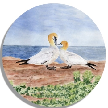 Untersetzer Glasuntersetzer rund 9,5 cm Aquarell Maritim Kunst Druck Kunstdruck Nordsee Insel Helgoland Basstölpel Vögel Lange Anna Felsen