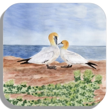 Untersetzer Glasuntersetzer 9,5 x 9,5 cm Aquarell Maritim Kunst Druck Kunstdruck Nordsee Insel Helgoland Basstölpel Vögel Lange Anna Felsen