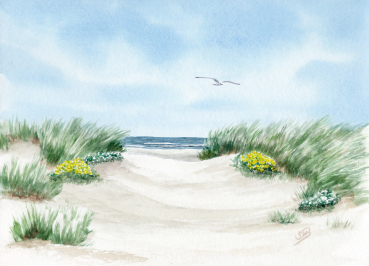 Postkarte DIN-A6 Strandweg Aquarell Maritim Kunst Druck Kunstdruck Dänemark Nordsee Ostsee Dünen Meer Strand Sylt
