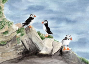 Postkarte DIN-A6 Aquarell Kunst Druck Kunstdruck Vogel Papageientaucher Puffin - Norwegen Dänemark Nordsee Arktis