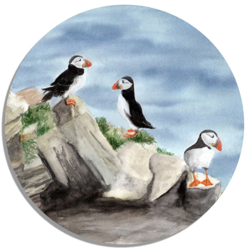 Untersetzer Glasuntersetzer rund 9,5 cm Aquarell Kunst Druck Kunstdruck Vogel Papageientaucher Puffin - Norwegen Dänemark Nordsee Arktis