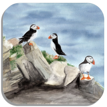 Untersetzer Glasuntersetzer 9,5 x 9,5 cm  Aquarell Kunst Druck Kunstdruck Vogel Papageientaucher Puffin - Norwegen Dänemark Nordsee Arktis