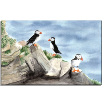 Leinwand 30 x 20 cm Keilrahmen Canvas-Leinen Aquarell Kunst Druck Kunstdruck Vogel Papageientaucher Puffin - Norwegen Dänemark Nordsee Arktis