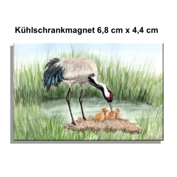 Fridge magnet Crane chick Baltic Sea Darß Zingst - OA4