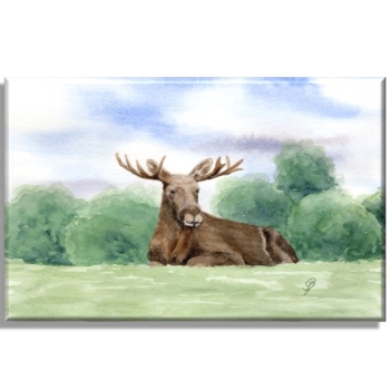 Leinwand 30 x 20 cm Keilrahmen Canvas-Leinen Aquarell Kunst Druck Kunstdruck Schweden Sweden Sverige Elch