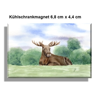 Kühlschrankmagnet  Aquarell Kunst Druck Kunstdruck Schweden Sweden Sverige Elch
