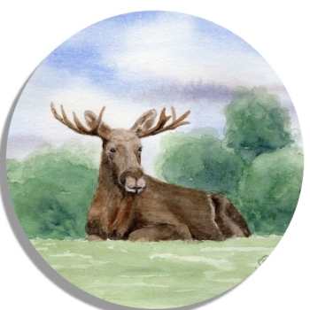 Untersetzer Glasuntersetzer rund 9,5 cm  Aquarell Kunst Druck Kunstdruck Schweden Sweden Sverige Elch