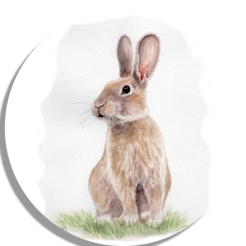 Untersetzer Glasuntersetzer rund 9,5 cm   Aquarell Kunst Druck Kunstdruck Hase Kaninchen Ostern Frühling Osterhase