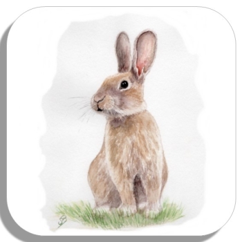 Untersetzer Glasuntersetzer 9,5 x 9,5 cm Aquarell Kunst Druck Kunstdruck Hase Kaninchen Ostern Frühling Osterhase