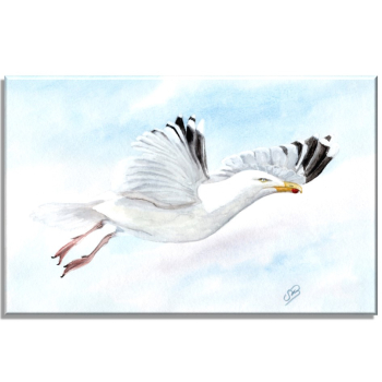 Leinwand 30 x 20 cm Keilrahmen Canvas-Leinen Aquarell Maritim Kunst Druck Kunstdruck Dänemark Nordsee Ostsee Möwe im Flug