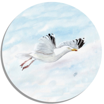 Untersetzer Glasuntersetzer rund 9,5 cm Aquarell Maritim Kunst Druck Kunstdruck Dänemark Nordsee Ostsee Möwe im Flug