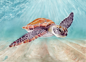 Postcard DIN-A6 Watercolor Art Print Ocean Sea Turtle