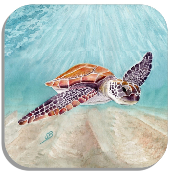 Coasters glass coasters 9,5 x  9,5 cm Watercolor Art Print Ocean Sea Turtle
