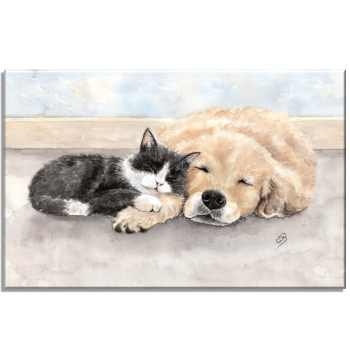 Leinwand 30 x 20 cm Keilrahmen Canvas-Leinen  Aquarell Kunst Druck Kunstdruck Katze und Hund - T15