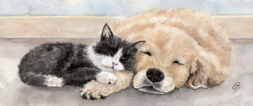 Tasse Becher Kaffeebecher  Aquarell Kunst Druck Kunstdruck Katze und Hund - T15