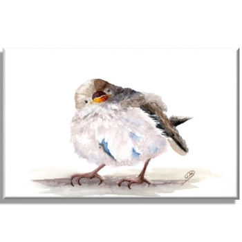 Leinwand 30 x 20 cm Keilrahmen Canvas-Leinen  Aquarell Kunst Druck Kunstdruck Spatz Vogel Frühling