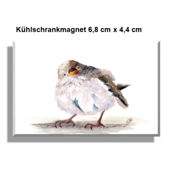 Kühlschrankmagnet Aquarell Kunst Druck Kunstdruck Spatz Vogel Frühling