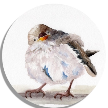 Untersetzer Glasuntersetzer rund 9,5 cm   Aquarell Kunst Druck Kunstdruck Spatz Vogel Frühling