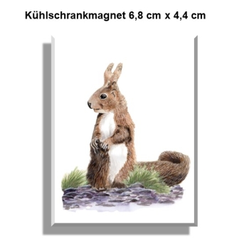 Kühlschrankmagnet Aquarell Kunst Druck Kunstdruck Eichhörnchen
