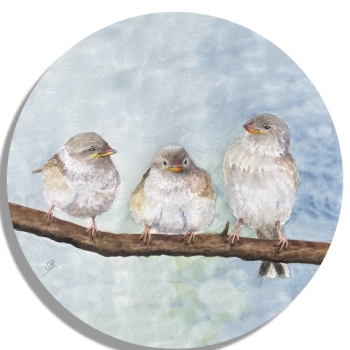 Untersetzer Glasuntersetzer rund 9,5 cm Aquarell Kunst Druck Kunstdruck Spatz Vogel Frühling Vögel Ast Spatzen