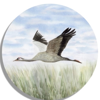 Untersetzer Glasuntersetzer rund 9,5 cm Aquarell Maritim Kunst Druck Kunstdruck Ostsee Kranich im Flug Ostsee Darß Zingst