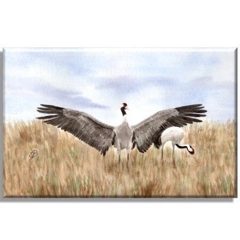 Leinwand 30 x 20 cm Keilrahmen Canvas-Leinen  Aquarell Maritim Kunst Druck Kunstdruck Ostsee Kranich tanzend Ostsee Darß Zingst