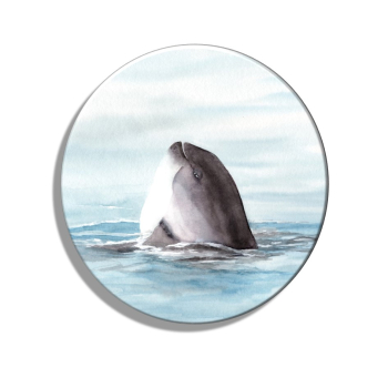 Kühlschrankmagnet m. Flaschenöffner Aquarell Maritim Kunst Druck Kunstdruck Dänemark Nordsee Ostsee Wal Pottwal Schweinswale Schweinswal