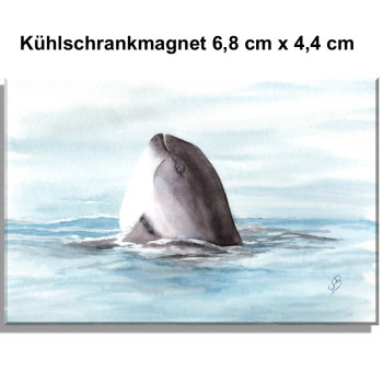 Kühlschrankmagnet  Aquarell Maritim Kunst Druck Kunstdruck Dänemark Nordsee Ostsee Wal Pottwal Schweinswale Schweinswal