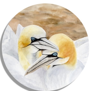 Untersetzer Glasuntersetzer rund 9,5 cm Aquarell Maritim Kunst Druck Kunstdruck Nordsee Insel Helgoland Basstölpel Vögel Lange Anna Felsen