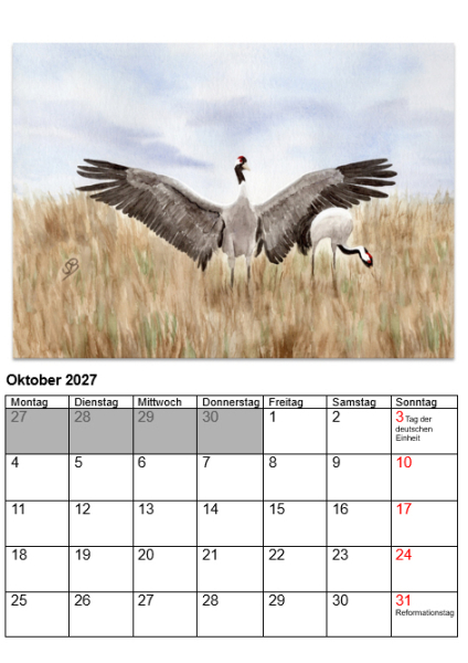 Ostseekalender Ostsee Kalender 2027 Rügen Wismar Warnemünde Darß Eckernförde Heiligenhafen Graal-Müritz Laboe Faltshöft