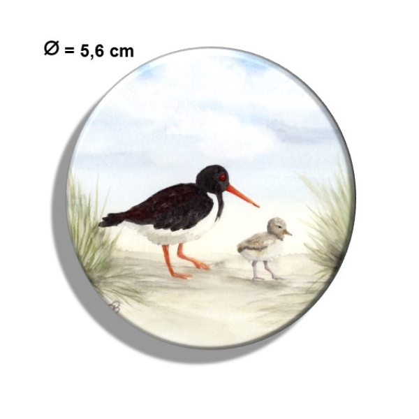Kühlschrankmagnet m. Flaschenöffner Aquarell Maritim Kunst Druck Kunstdruck Nordsee Amrum 5 - Austernfischer am Strand