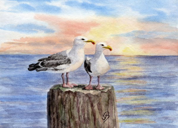 Postkarte DIN-A5 - Möwen auf Pfahl im Sonnenuntergang - AL3