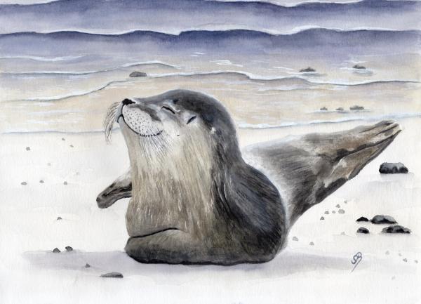 Poster DIN-A4  Aquarell Maritim Kunst Druck Kunstdruck Seehund Robbe Heuler Kegelrobbe Dänemark Nordsee Ostsee