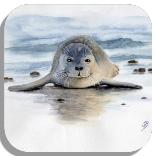 Coasters glass coasters 9,5 x  9,5 cm  Watercolor Maritime Art Print Seal on belly Denmark North Sea Baltic Sea