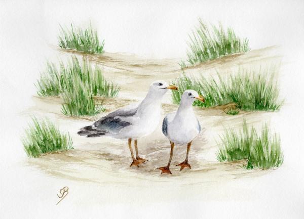 Folienmagnet  Aquarell Maritim Kunst Druck Kunstdruck Dänemark Nordsee Ostsee Düne Dünen Meer Möwe Möwen Strand