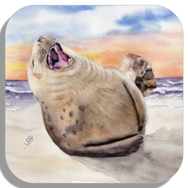 Untersetzer Glasuntersetzer 9,5 x 9,5 cm Aquarell Maritim Kunst Druck Kunstdruck lachender Seehund Robbe Heuler Kegelrobbe Dänemark Nordsee Ostsee