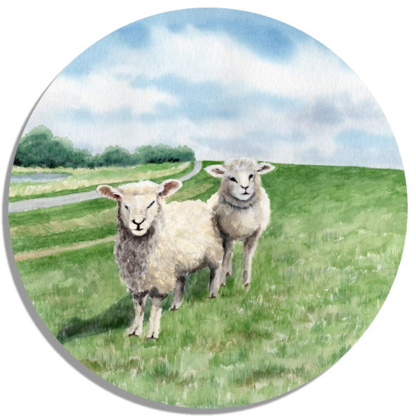 Coasters glass coasters 9,5 x  9,5 cm Watercolor Maritime Art Print North Sea Baltic Sea Sheep Sheeps