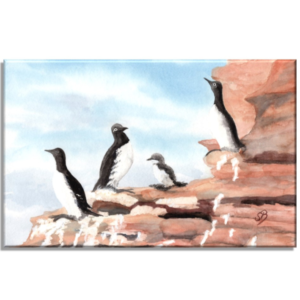 Leinwand 30 x 20 cm Keilrahmen Canvas-Leinen Aquarell Maritim Kunst Druck Kunstdruck Nordsee Insel Helgoland Trottellumme