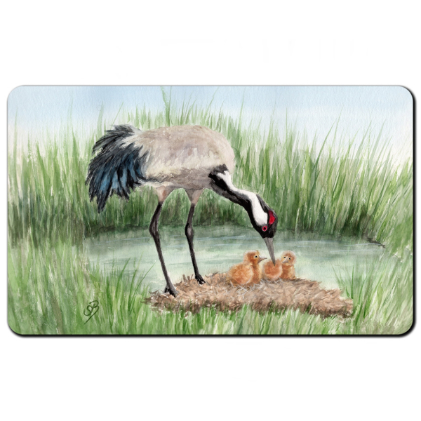 Breakfast Board  Crane chick Baltic Sea Darß Zingst - OA4