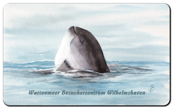 Breakfast  Porpoise WHV10