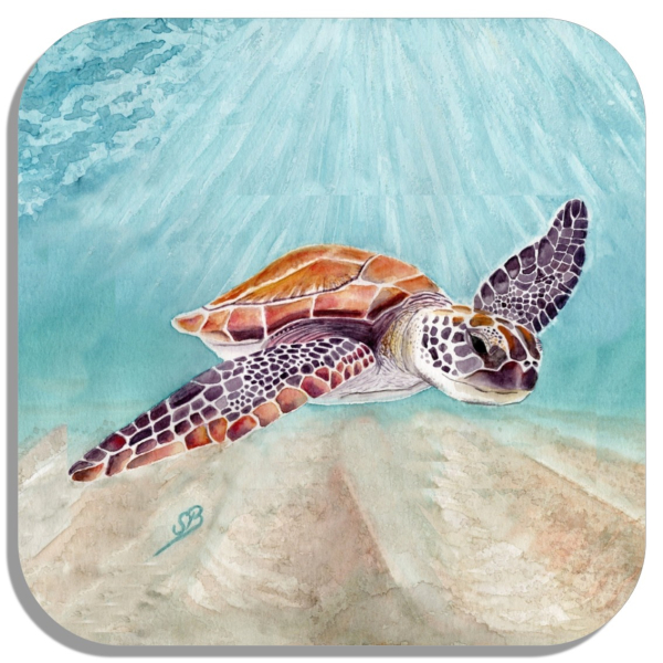 Coasters glass coasters 9,5 x  9,5 cm Watercolor Art Print Ocean Sea Turtle