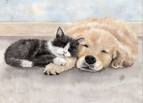 Postkarte DIN-A6 Aquarell Kunst Druck Kunstdruck Katze und Hund - T15
