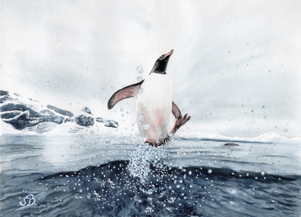 Folienmagnet Aquarell Kunst Druck Kunstdruck Pinguin