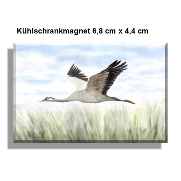 Kühlschrankmagnet Folienmagnet Aquarell Maritim Kunst Druck Kunstdruck Ostsee Kranich im Flug Ostsee Darß Zingst