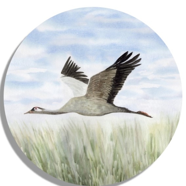 Untersetzer Glasuntersetzer rund 9,5 cm Aquarell Maritim Kunst Druck Kunstdruck Ostsee Kranich im Flug Ostsee Darß Zingst