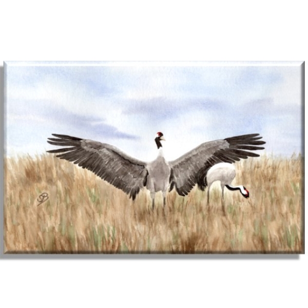 Leinwand 30 x 20 cm Keilrahmen Canvas-Leinen  Aquarell Maritim Kunst Druck Kunstdruck Ostsee Kranich tanzend Ostsee Darß Zingst