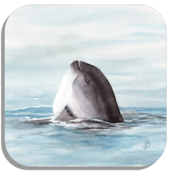 Coasters glass coasters 9,5 x  9,5 cm  Watercolor Maritime Art Print Art Print Denmark North Sea Baltic Sea Whale Sperm Whale Porpoises