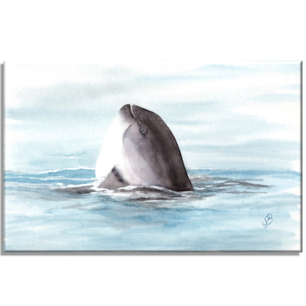 Stretcher frame canvas 40 x 30 cm linen  Watercolor Maritime Art Print Art Print Denmark North Sea Baltic Sea Whale Sperm Whale Porpoises